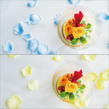 360：バルーンとフラワーケーキのセットデコレーション＜イエロー・ブルー＞ - ORYZAE Celebrations