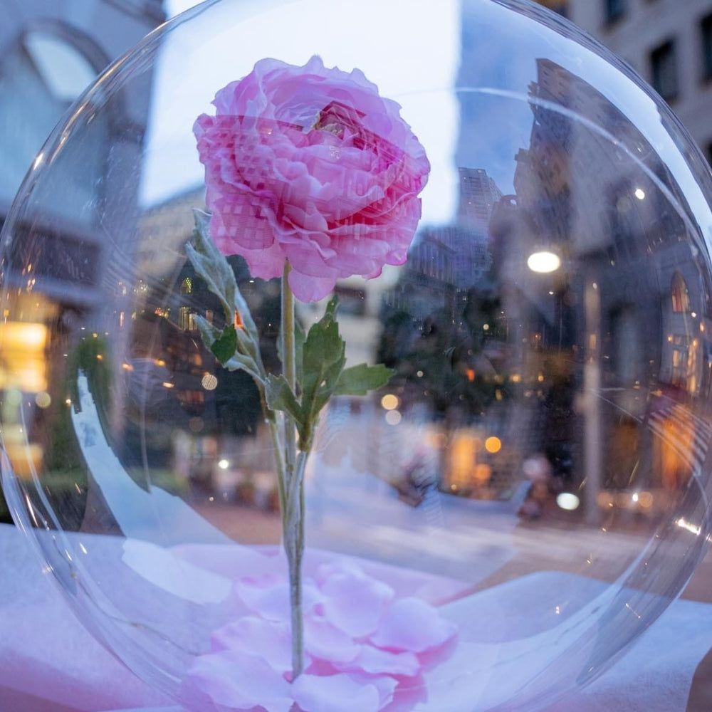 ce53e6169fec78706b434b3bbe4df1